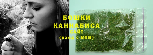 шишки Алзамай