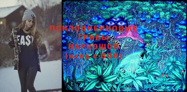 кокс Алексин