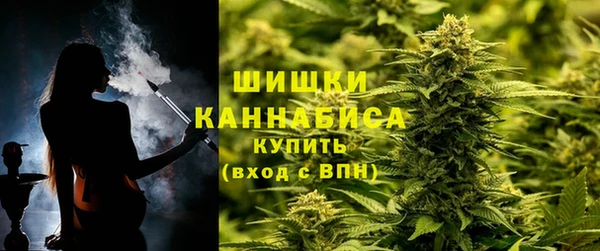 шишки Алзамай