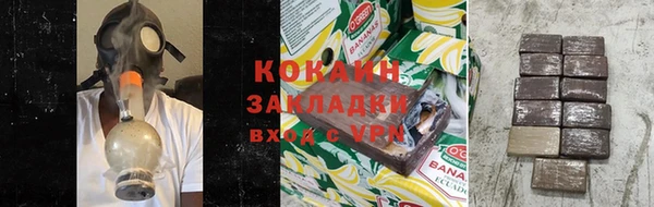 кокс Алексин