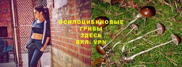 кокс Алексин